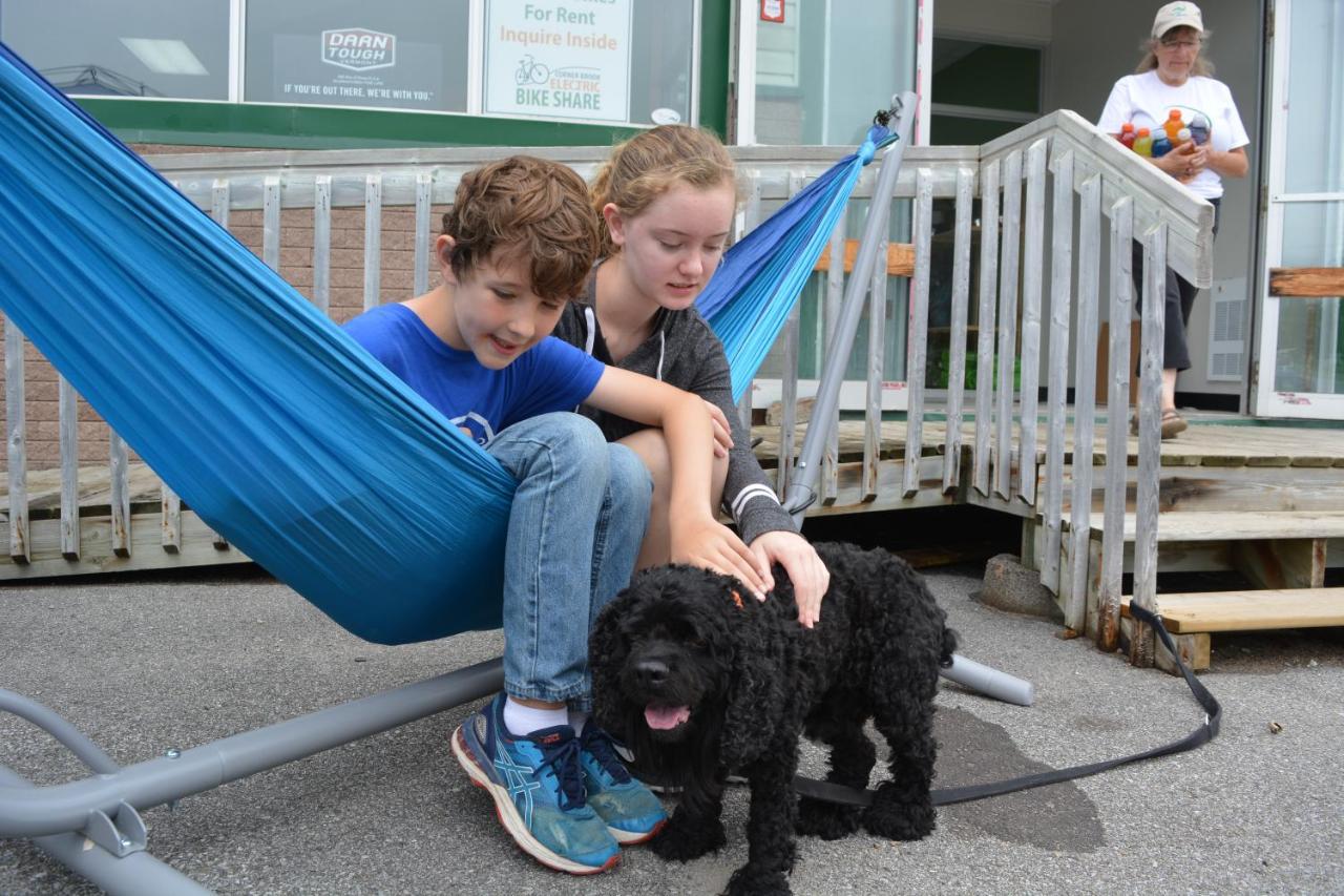 Out East Hostels - Rocky Harbour Esterno foto